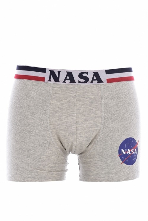 Heavands - Grandes marcas a preços discount - Boxer Nasa Stripe Cinzento 1