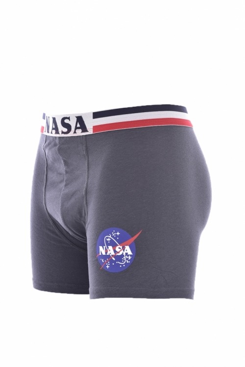 Heavands - Grandes marcas a preços discount - Boxer Nasa Stripe Cinzento escuro 2